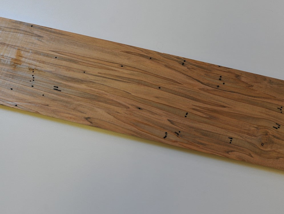 Ambrosia (Wormy Maple) 4x4