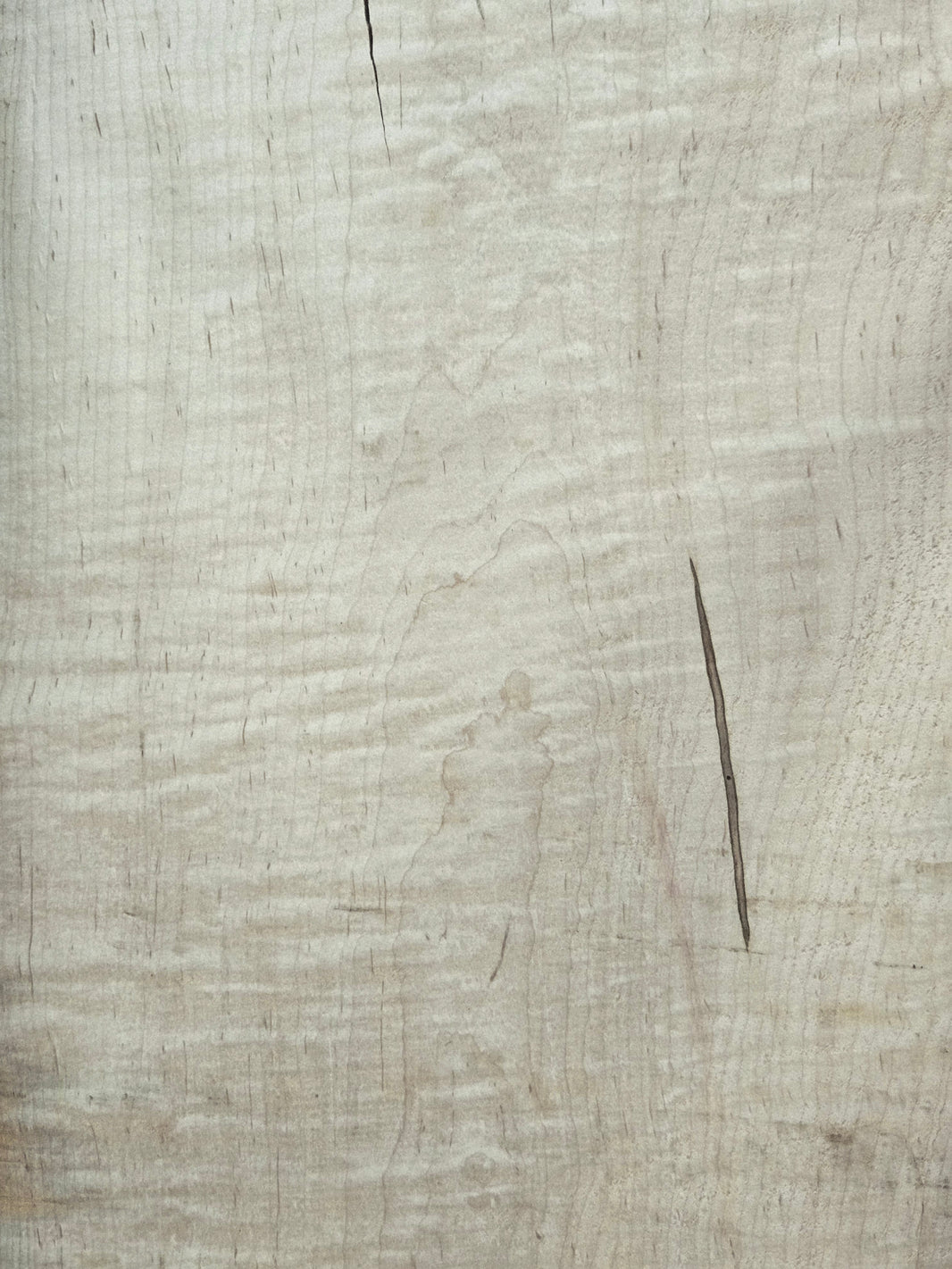 Curly Maple 1" Thickness (4/4)