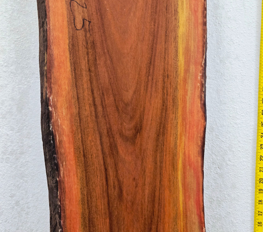 Guatemalan Cherry (Malerio-Colorado)48x14.5x1.25