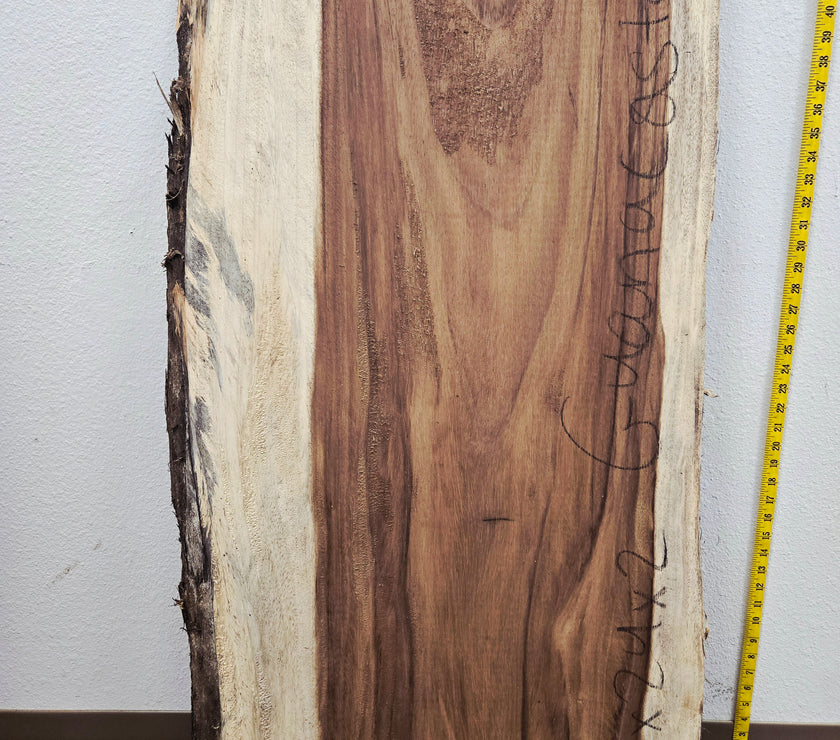 Guanacaste (Parota) 43x24x2