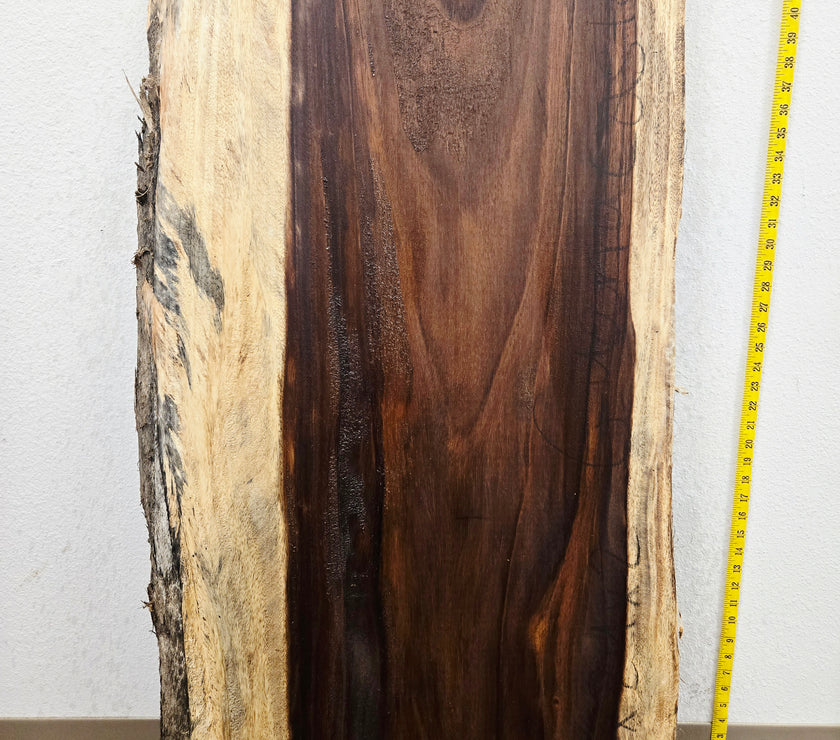 Guanacaste (Parota) 43x24x2