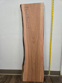 Guatemalan Cherry (Malerio-Colorado)48x14.5x1.25