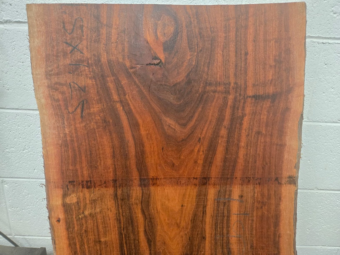 Cebil (Patagonian Rosewood) 37x14x1.25