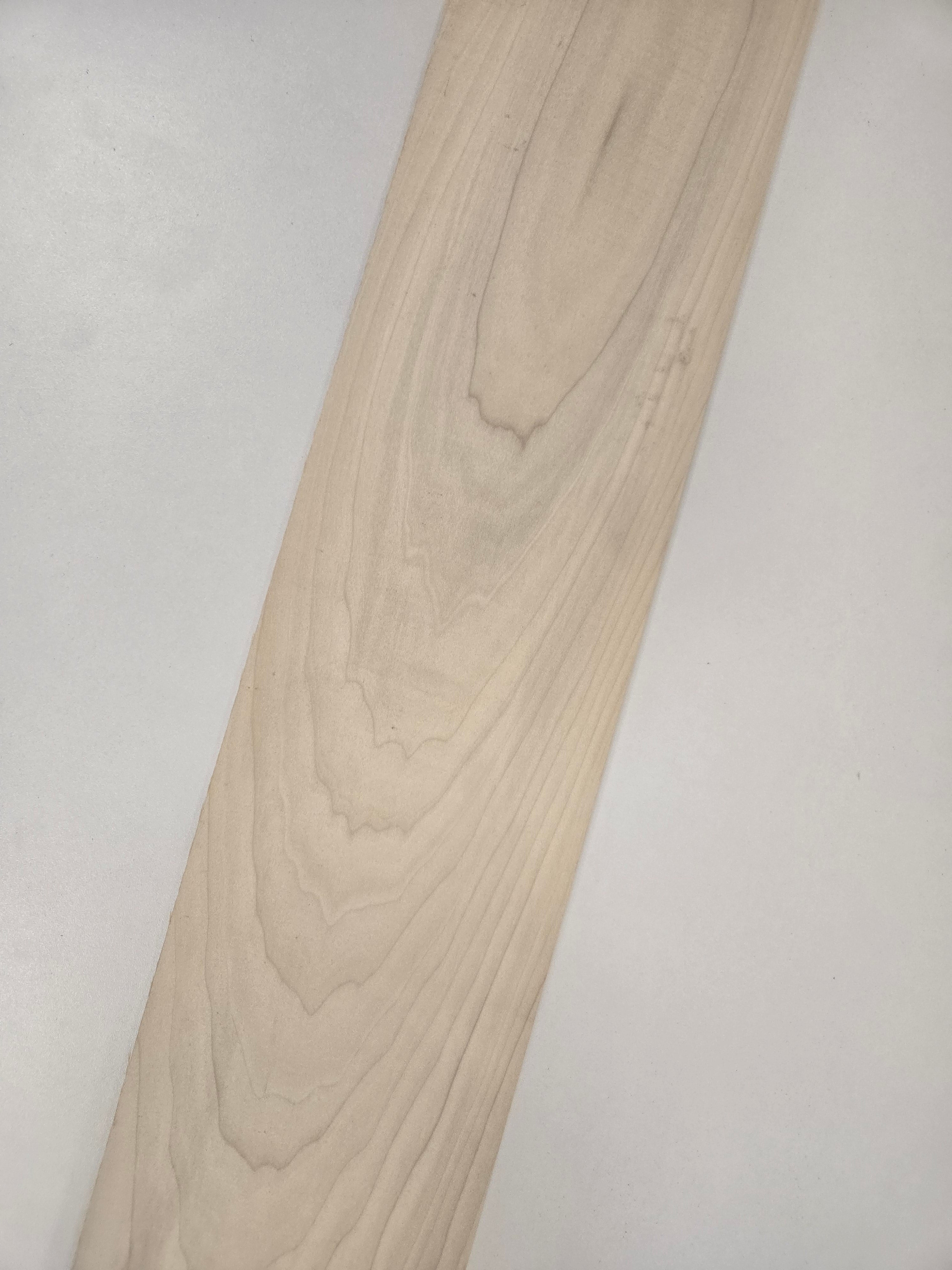 Poplar 4/4