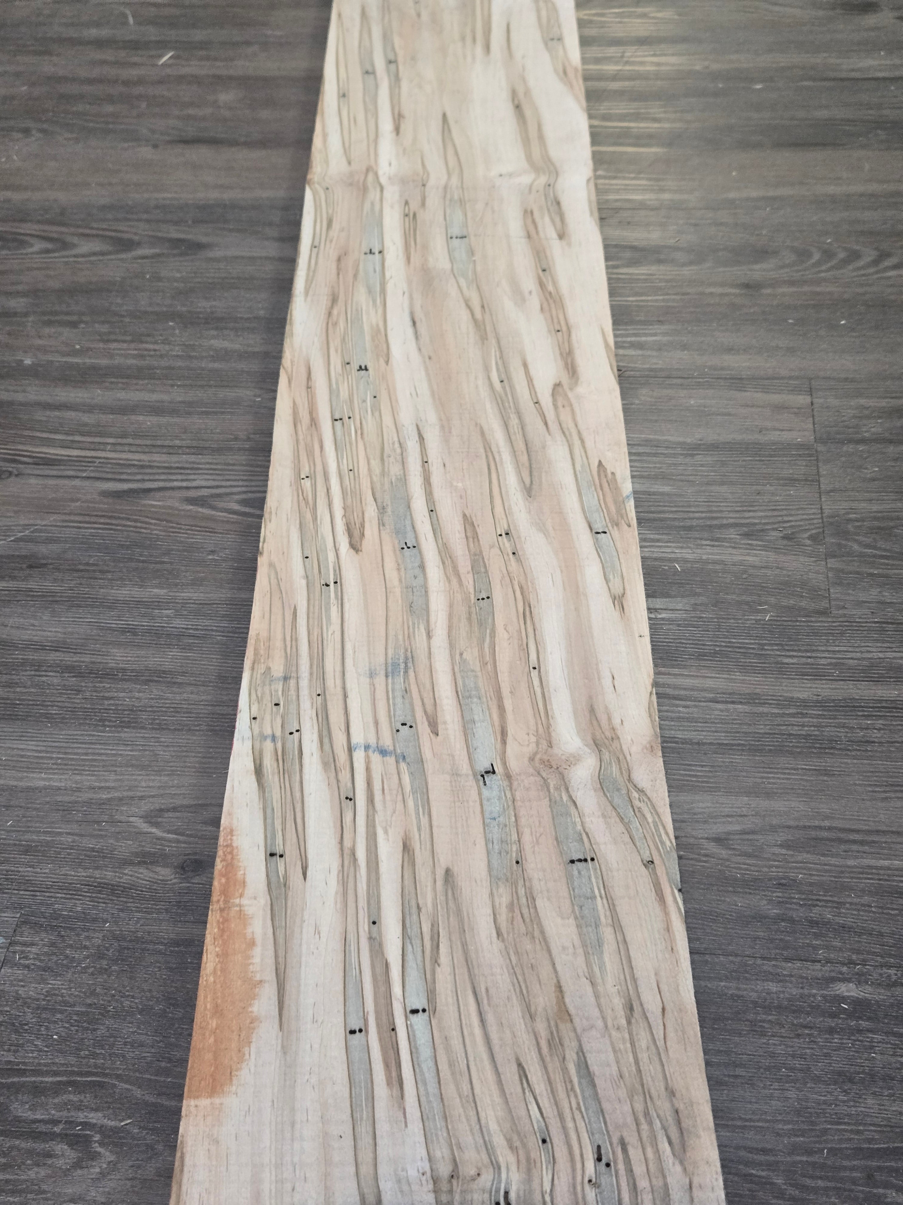 Ambrosia (Wormy Maple) 1" Thickness (4/4)