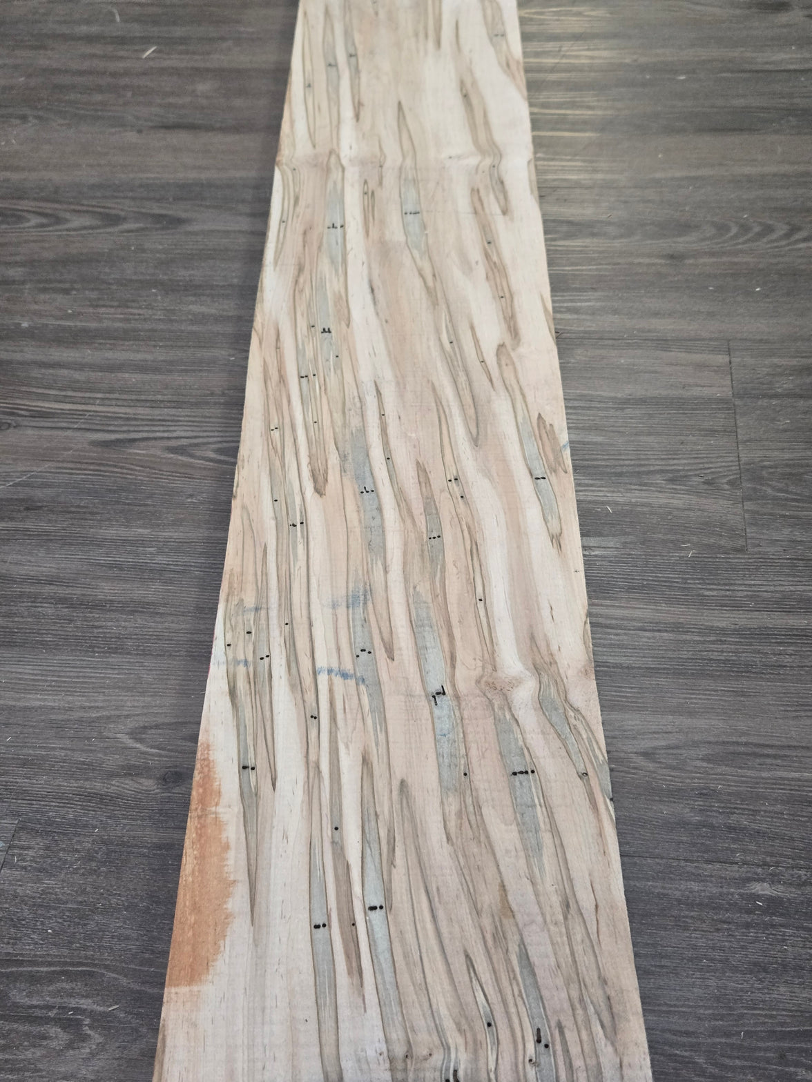 Ambrosia (Wormy Maple) 1" Thickness (4/4)