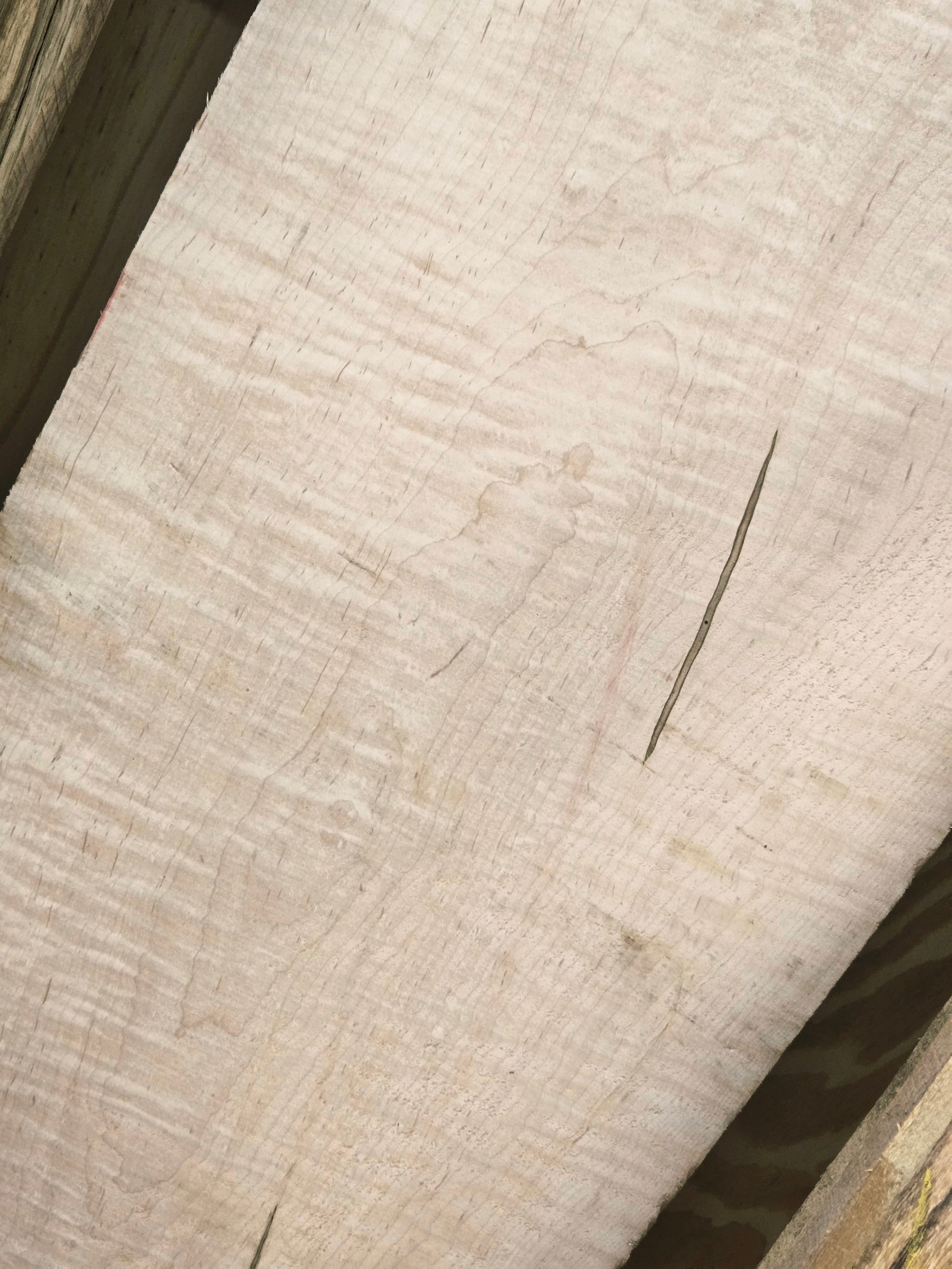 Curly Maple 1" Thickness (4/4)