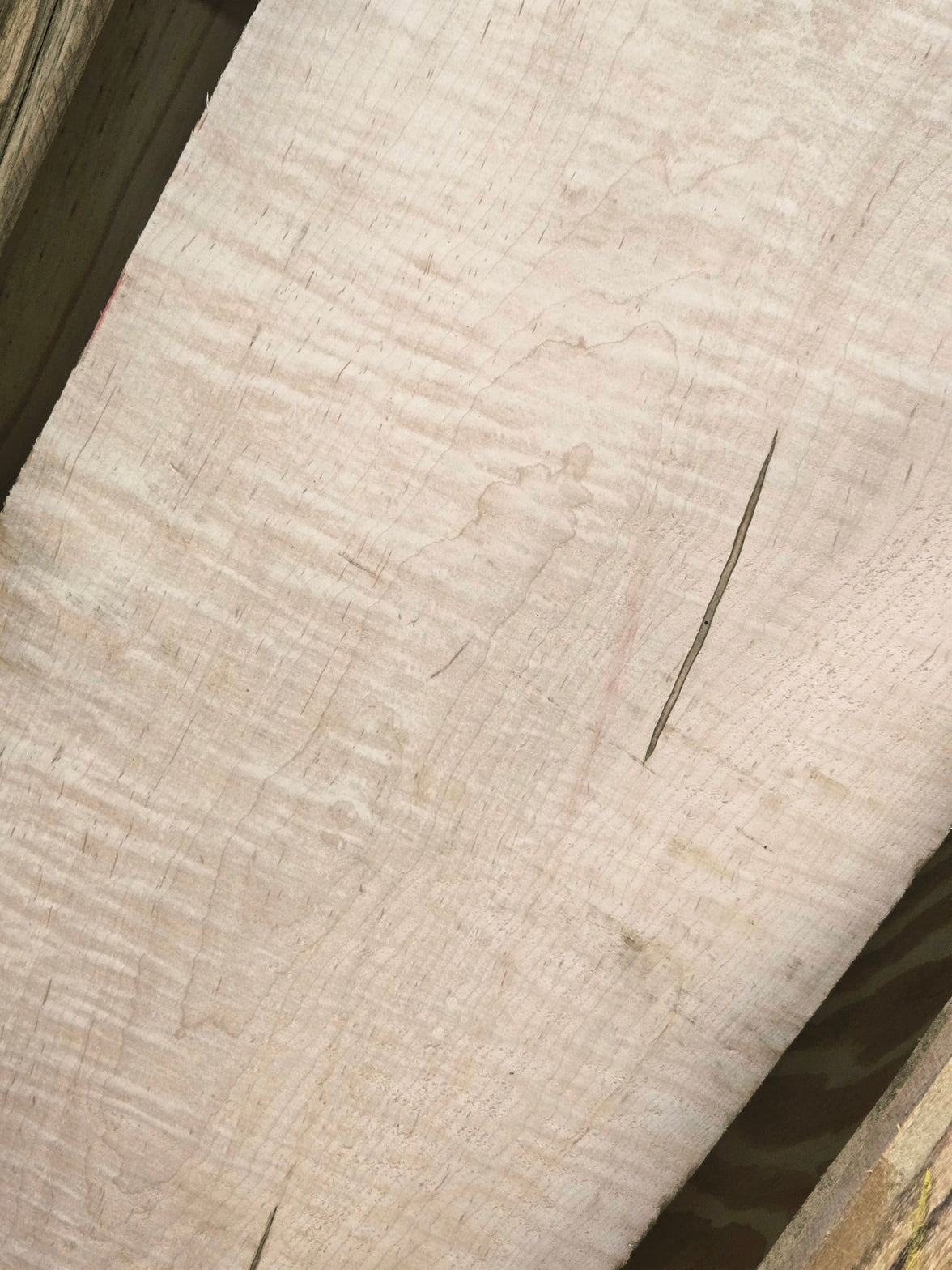 Curly Maple 1" Thickness (4/4)