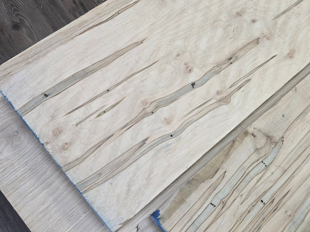 Ambrosia (Wormy Maple) 1" Thickness (4/4)