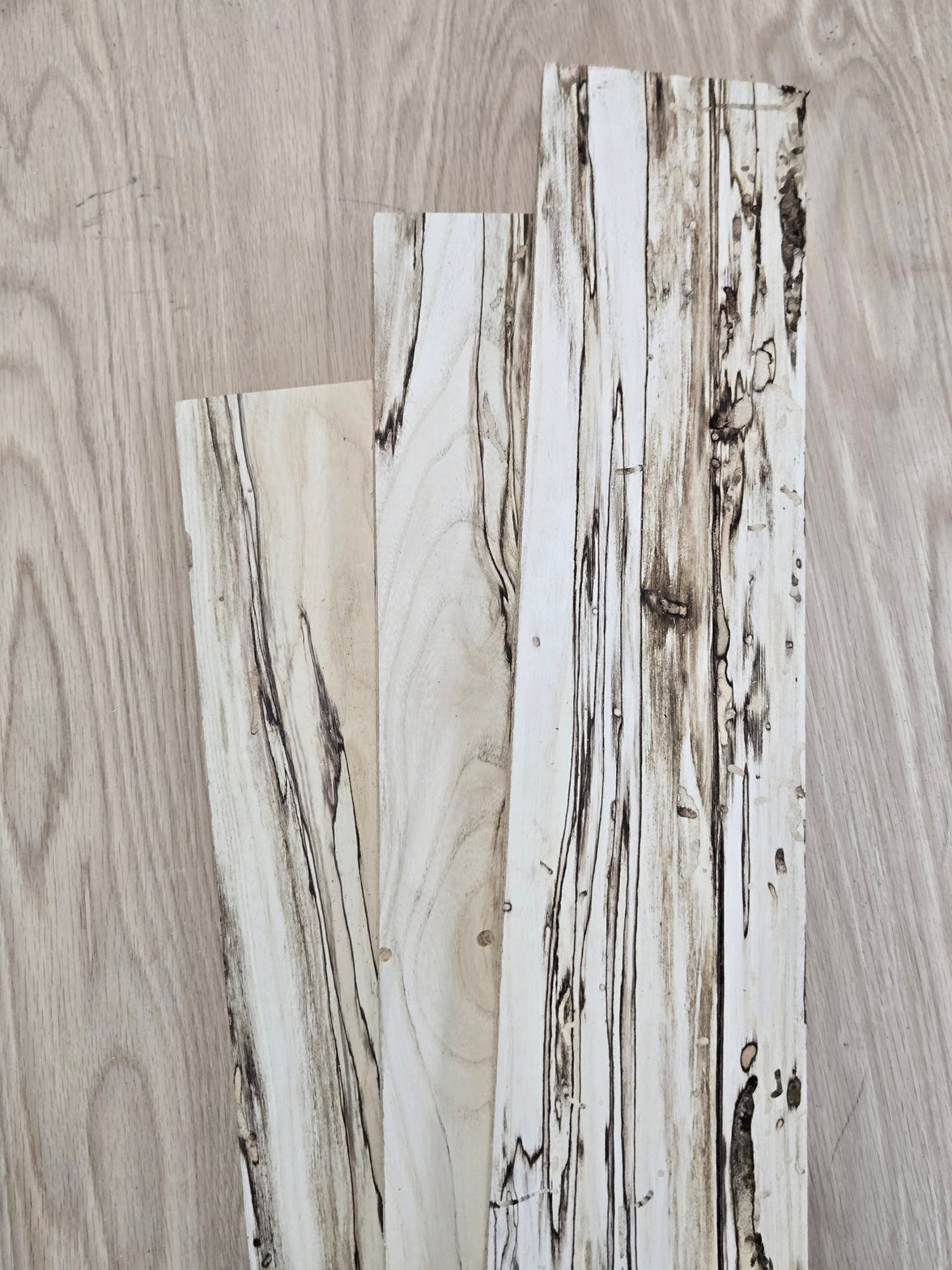 Spalted Hackberry 1" Thickness (4/4)