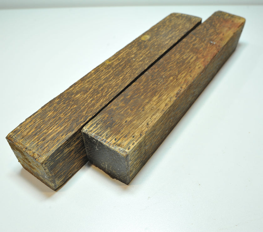 Black Palm 1.5x1.5x18
